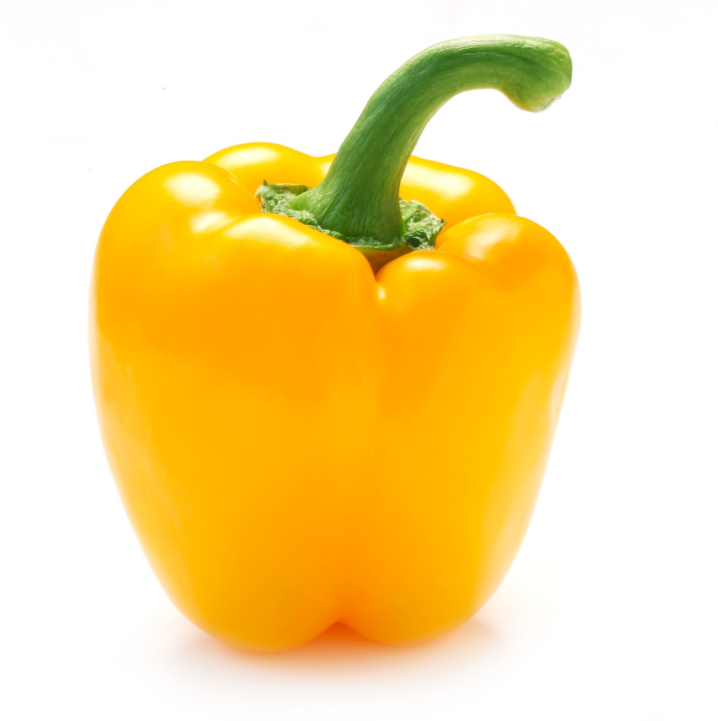 Poivron Jaune ES KG