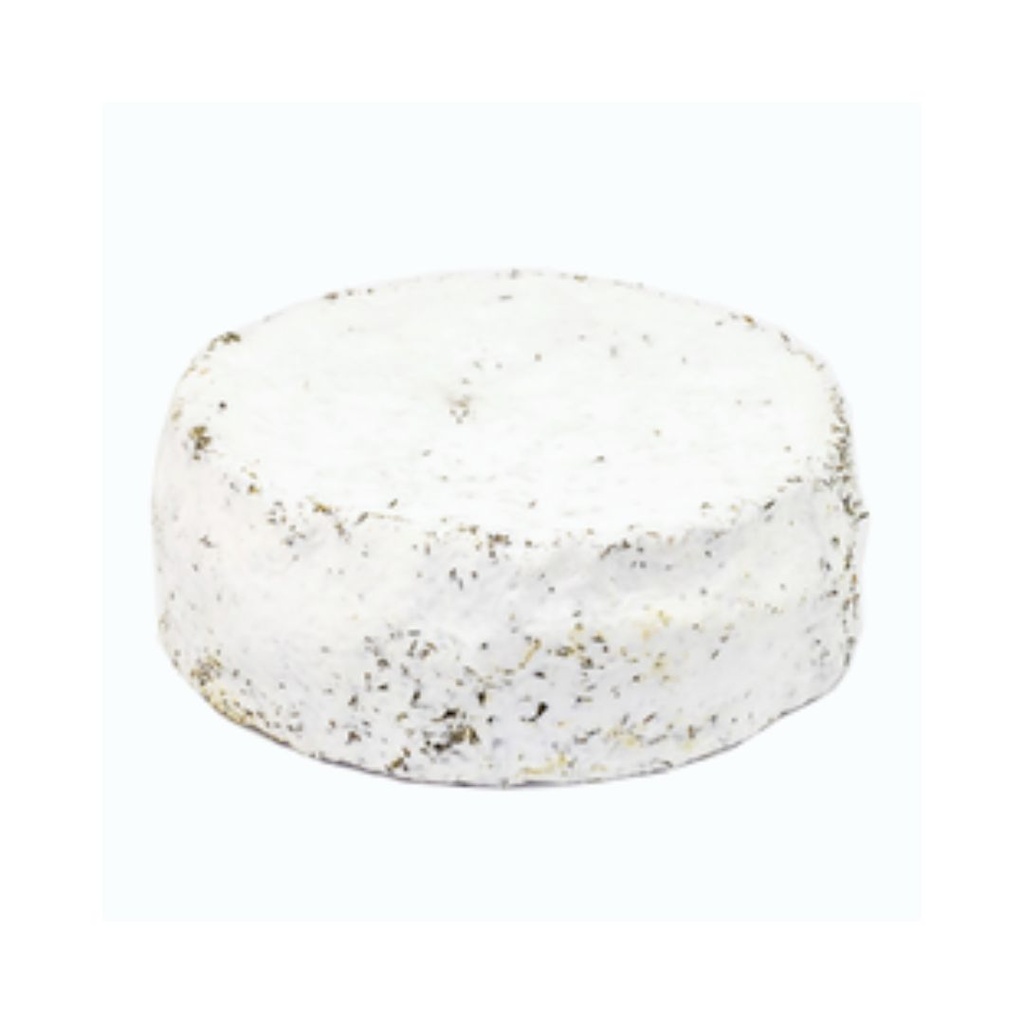 Florence Herbes de Provence KG