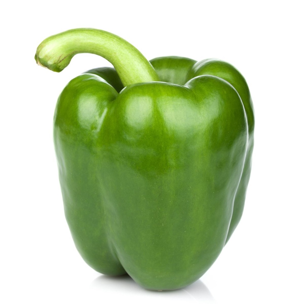 Poivron vert ES KG