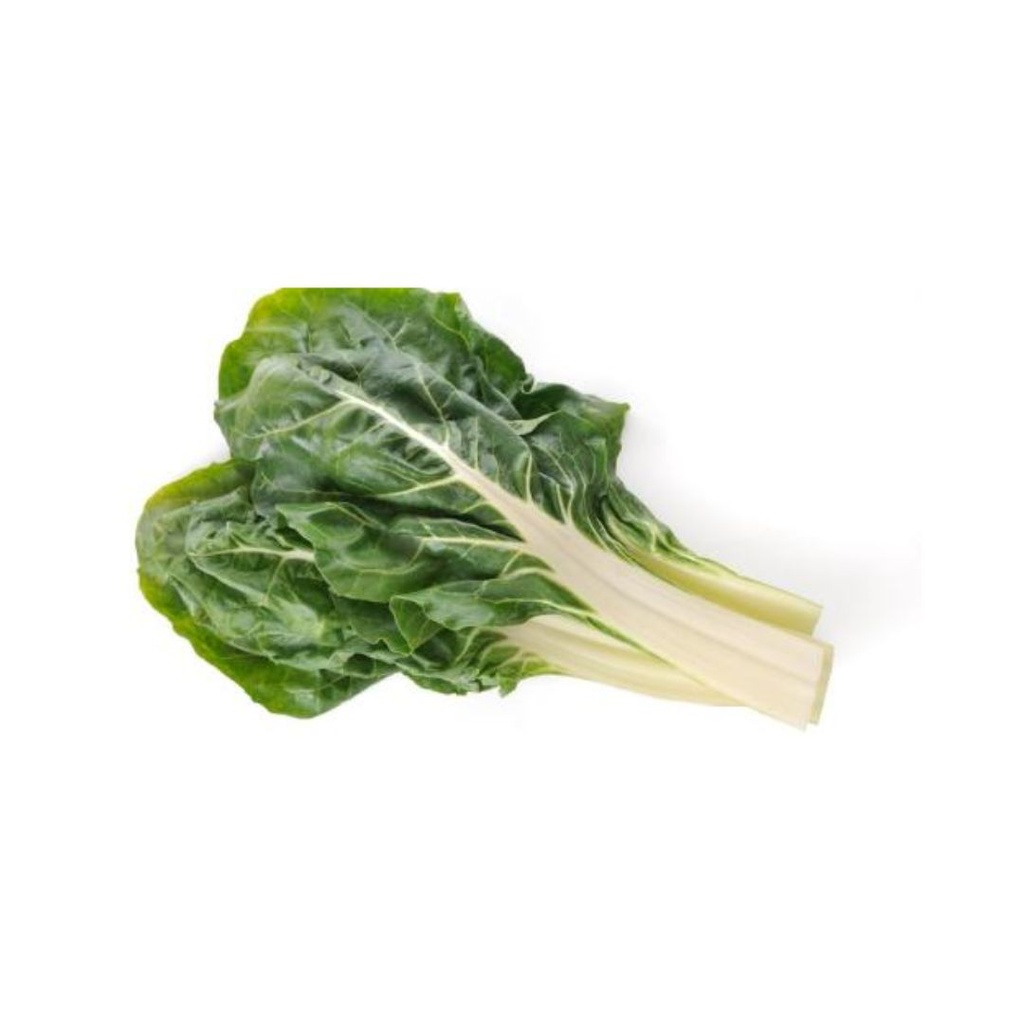Bette KG BE