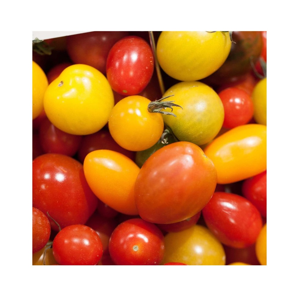 Tomate Cerise Mix KG BE