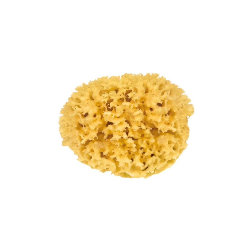 Eponge de Bain Naturelle 11 cm L'Atelier du Monde