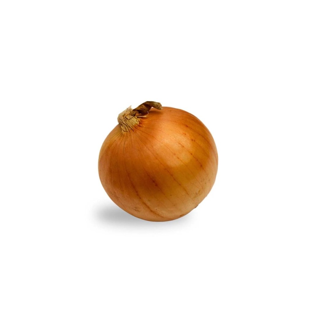 Oignon Jaune BE KG