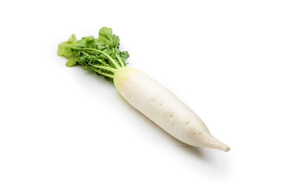 Radis Blanc Daikon BE KG