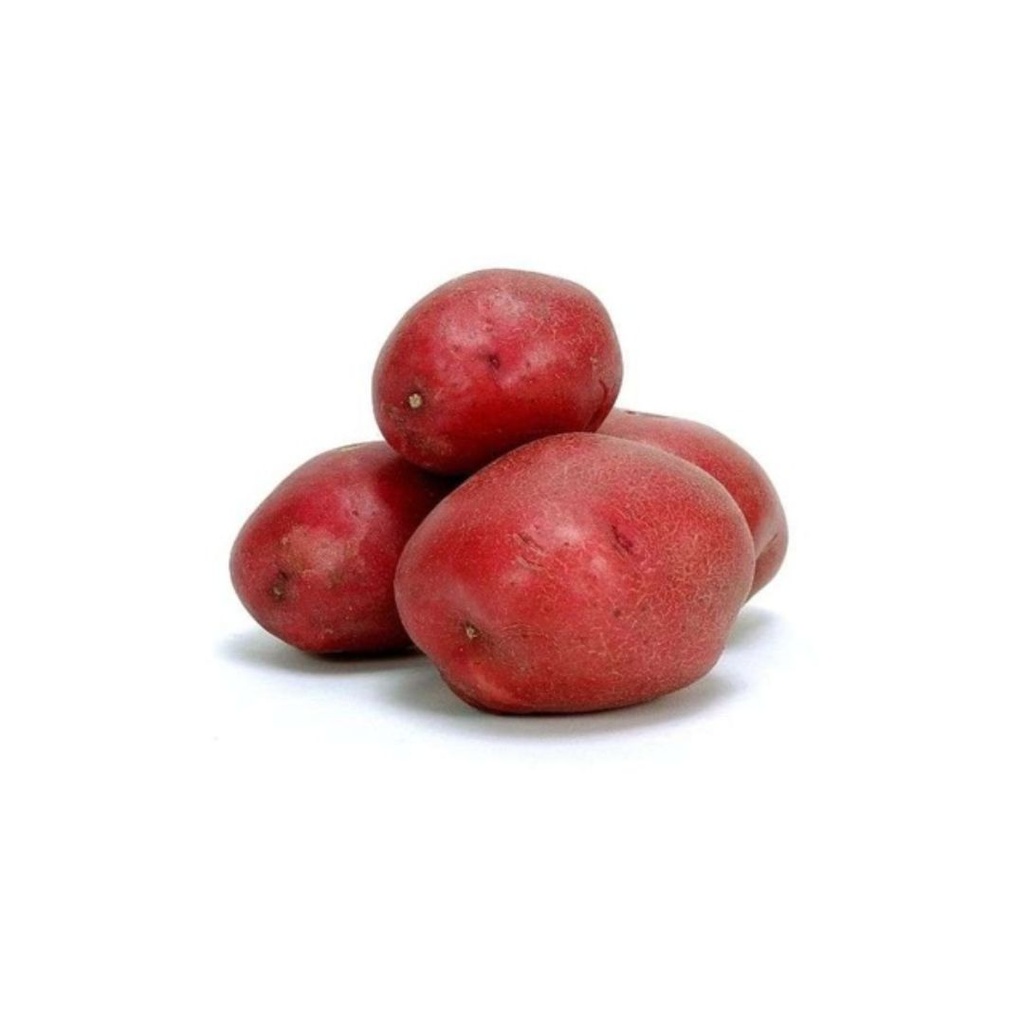 PDT Alouette (Ferme) KG BE 