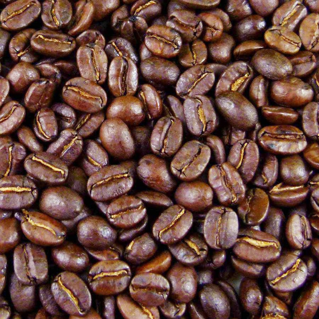 499 - VRAC - Cafe Salvador Grains Arduina