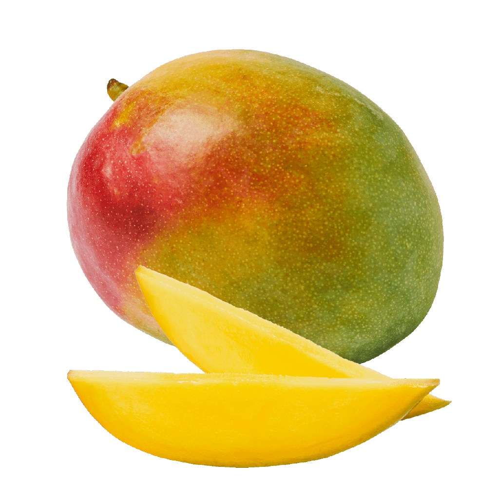 Mangue PC ES