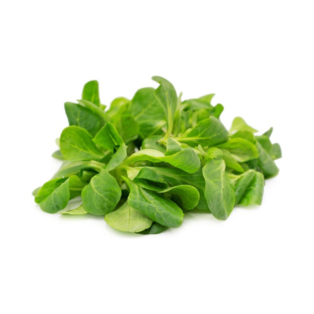 Salade de Blé BE KG