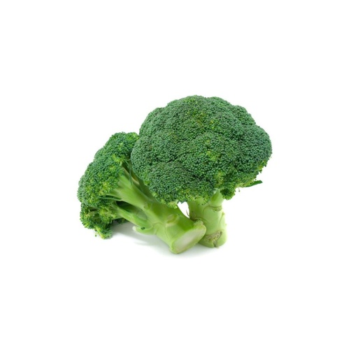 Brocoli IT KG