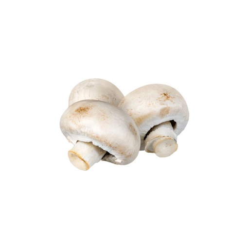 Champignon Blanc NL KG