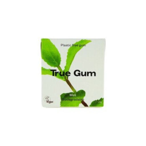 Chewing-Gum Menthe 21gr True Gum
