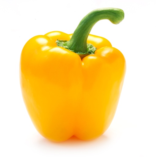 Poivron Jaune ES KG