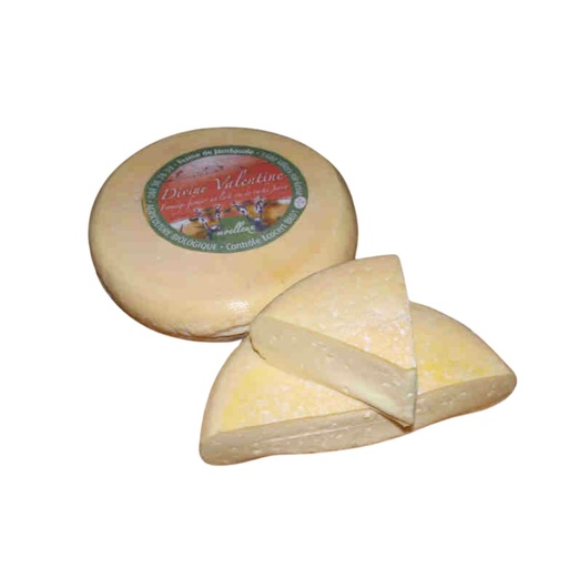 Divine Valentine Ferme de Jambjoule KG