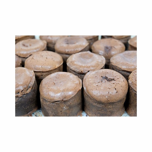 Moelleux au chocolat Benoit Segonds