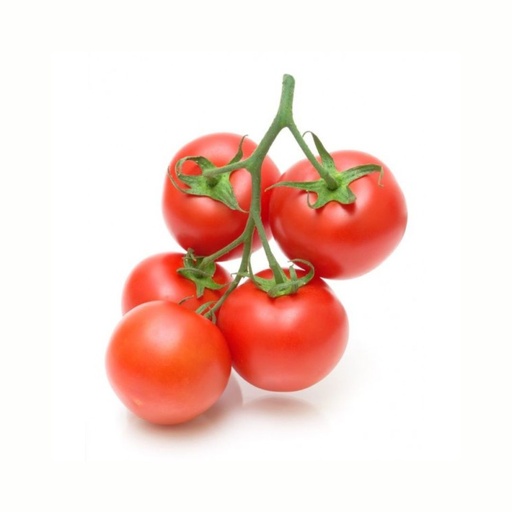 Tomate Branche ES KG