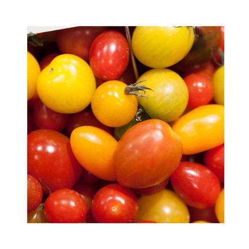 Tomate Cerise Mix KG BE