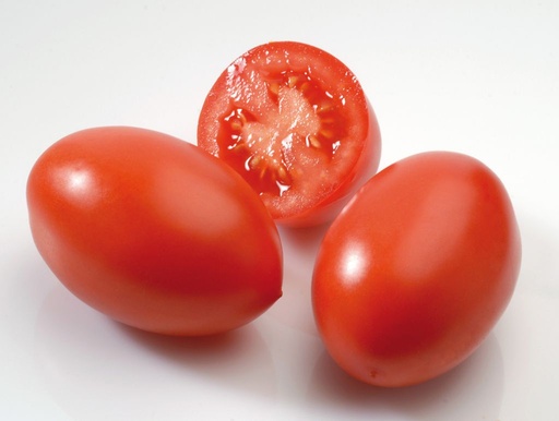 Tomate Roma ES KG