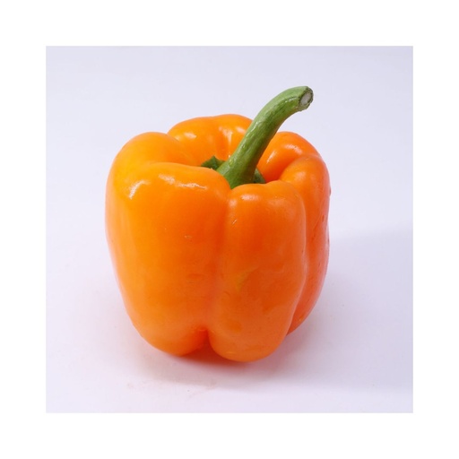 Poivron Orange BE KG