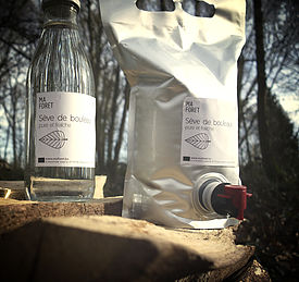 Sève de Bouleau Ma Forêt 2L