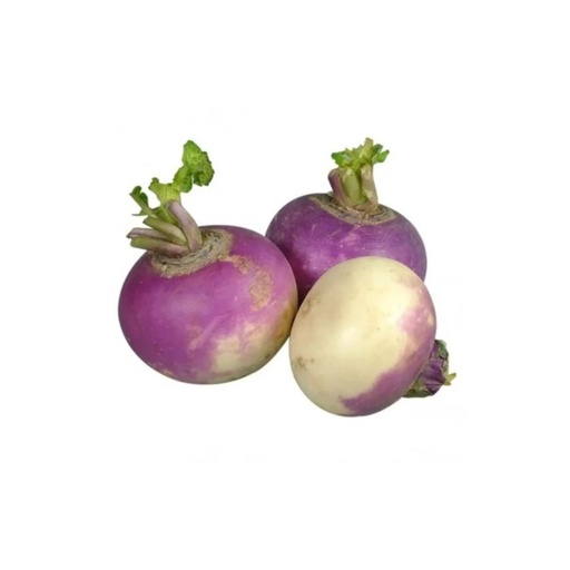 Navet Violet BE KG