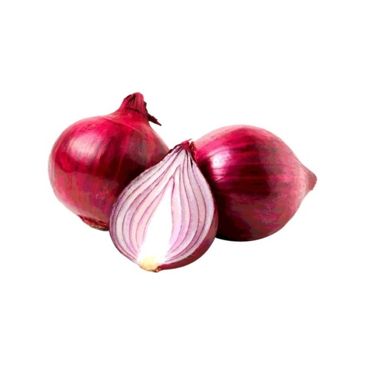 Oignon Rouge NL KG
