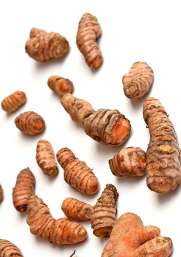 Curcuma PE KG