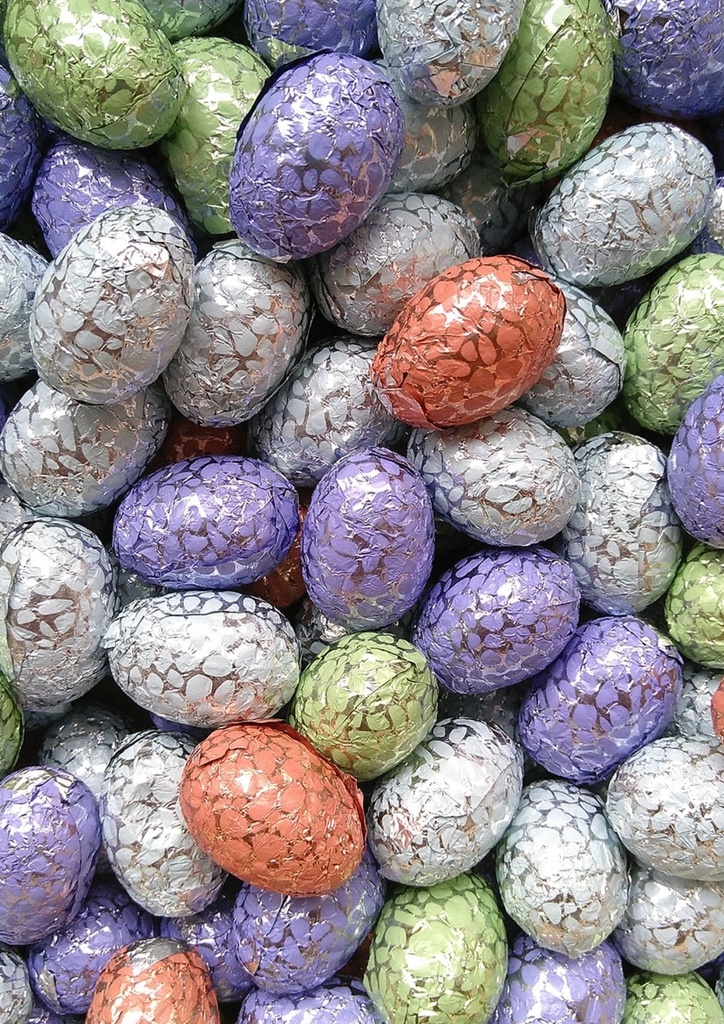 Oeuf Pâques Chocolat KG Biochoc 