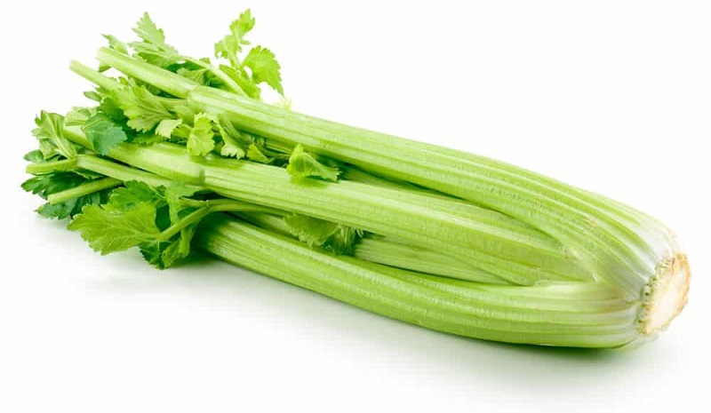 Celeri Vert IT PC