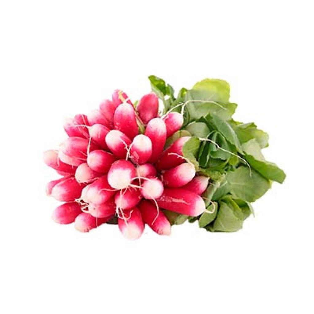 Radis Rouge Botte BE PC