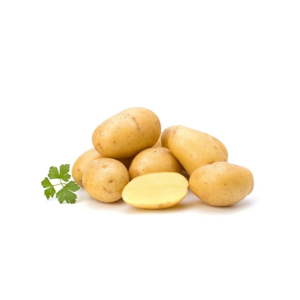 PDT Annabelle (Ferme) Liege KG