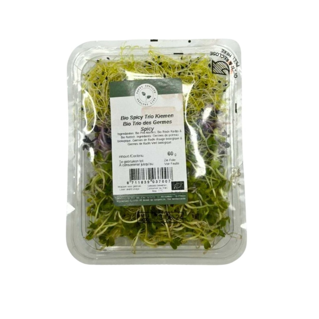 Germe Spicy Trio PC NL