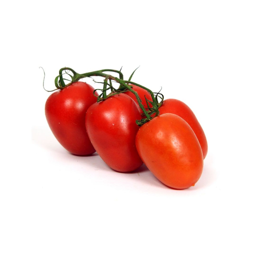 Tomate Ronde KG ES