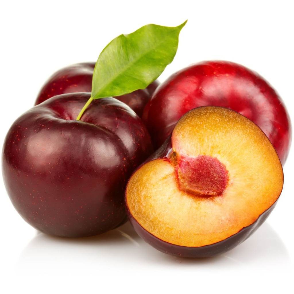 Prune Rouge ES KG