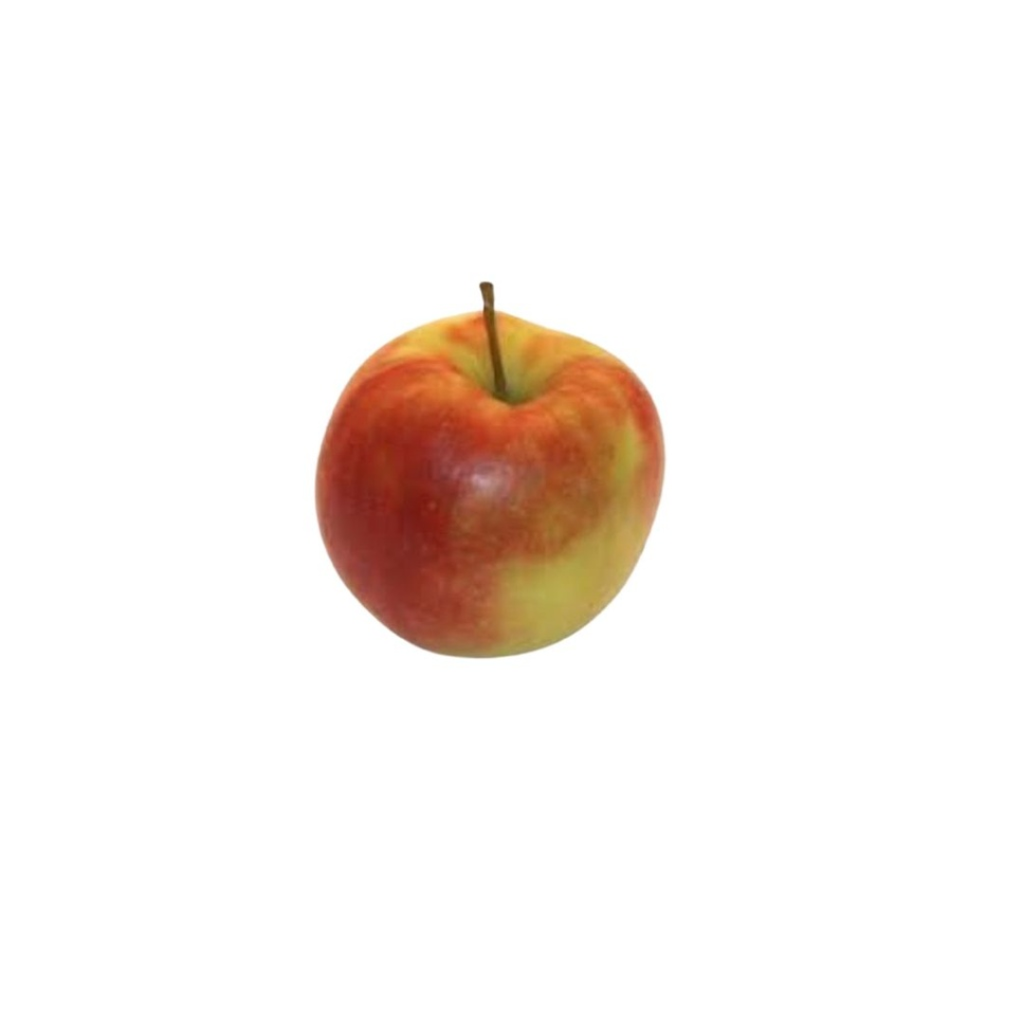 Pomme Jonagold BE KG