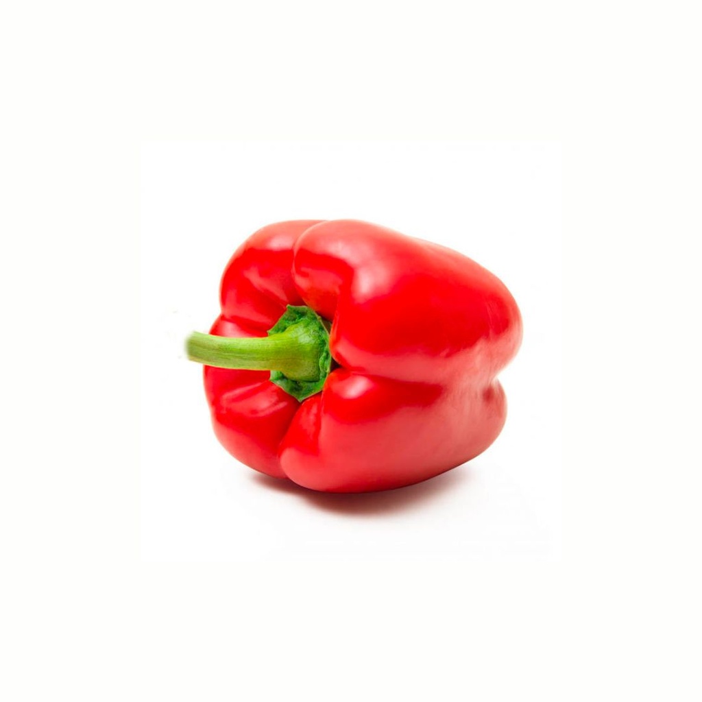 Poivron Rouge ES KG