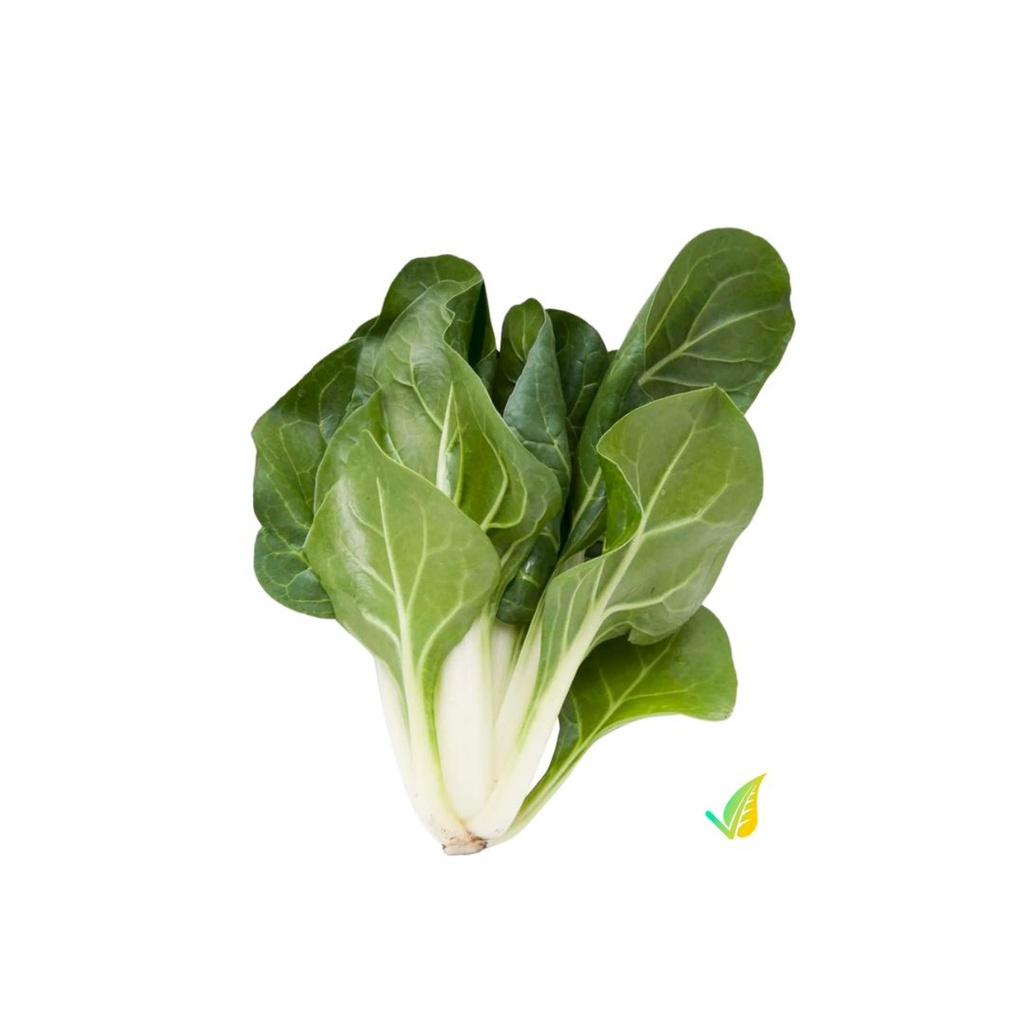 Bette Verte IT KG