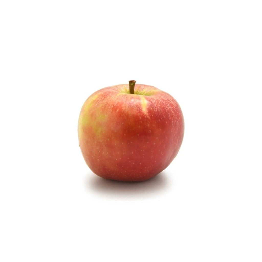 Pomme Elstar NL KG