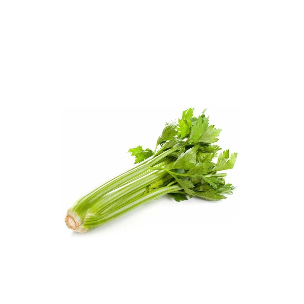 Céleri Vert BE PC