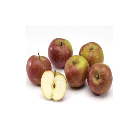 Pomme KG Boskoop BE
