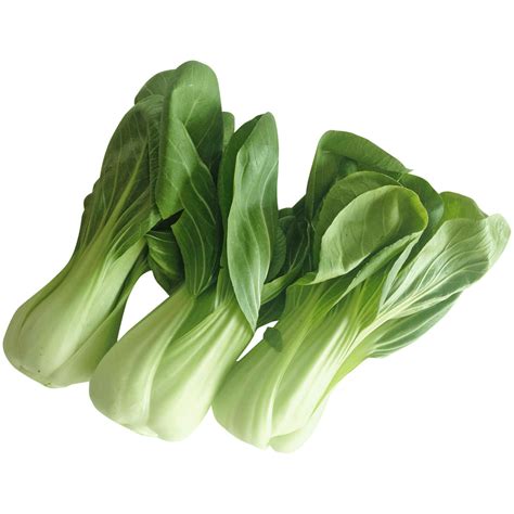 Pak Choi BE PC