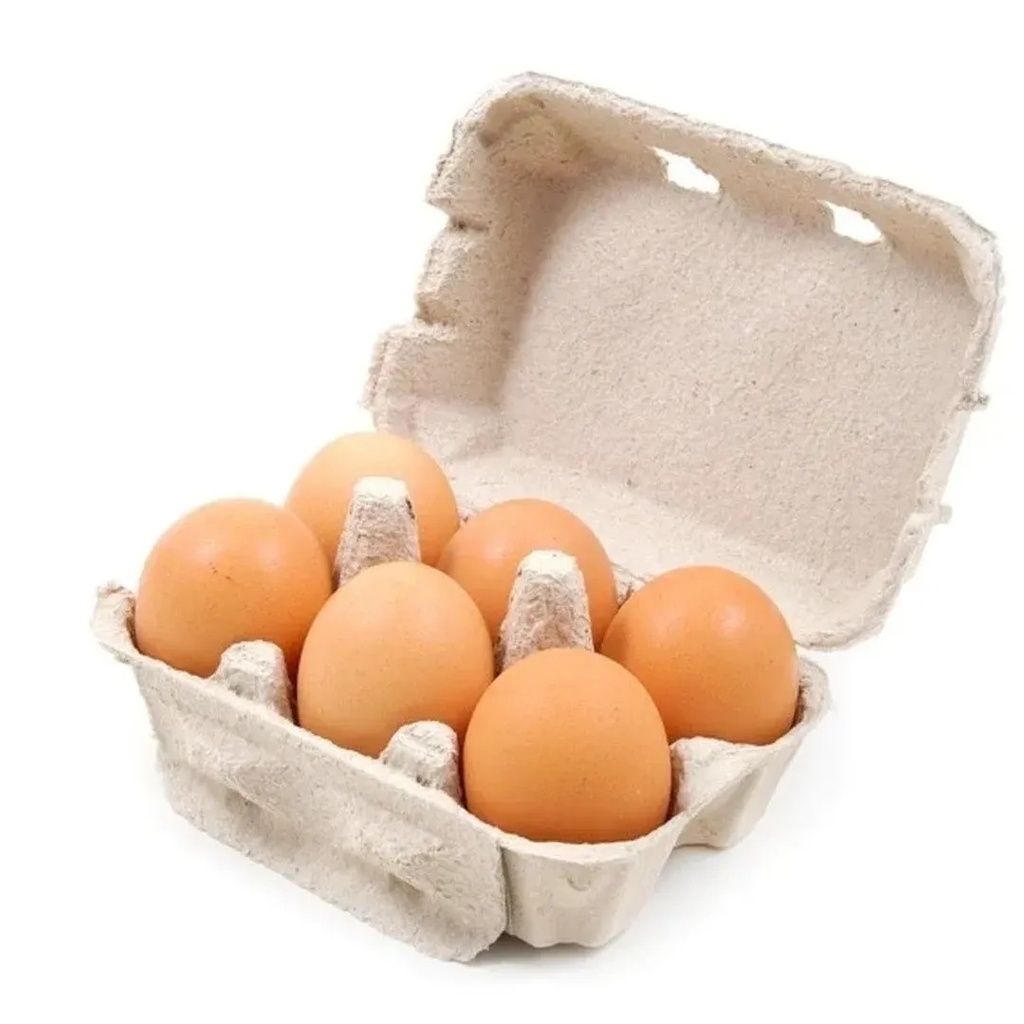 Plateau Oeufs 6PC