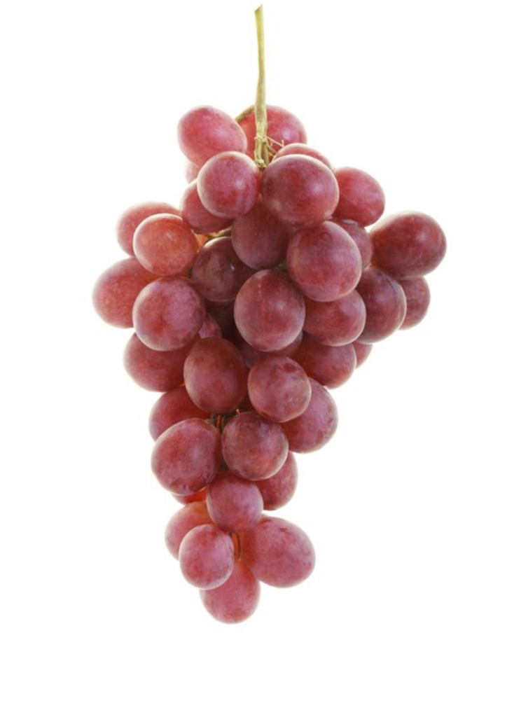 Raisin Red Globe IT KG