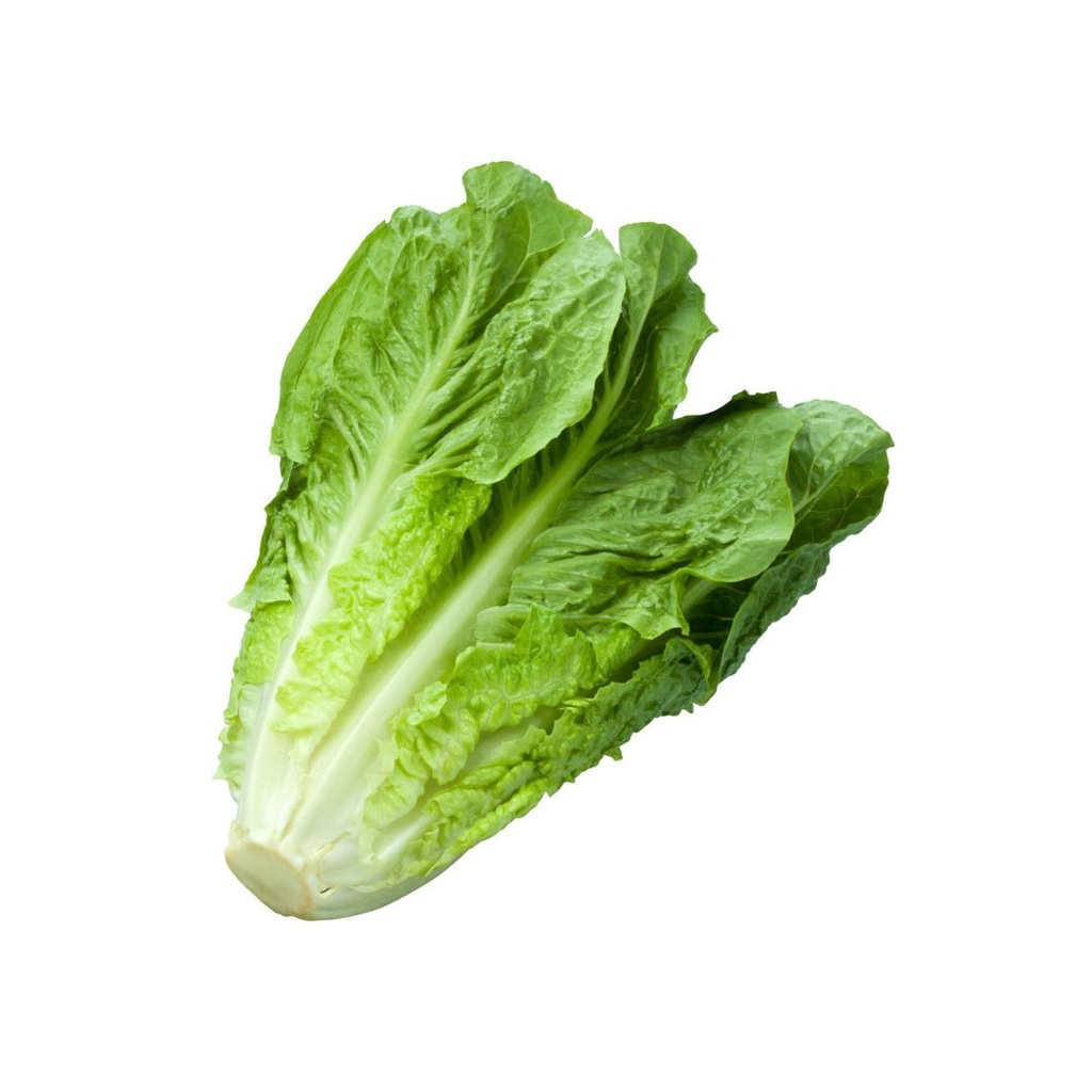 Salade Romaine BE PC