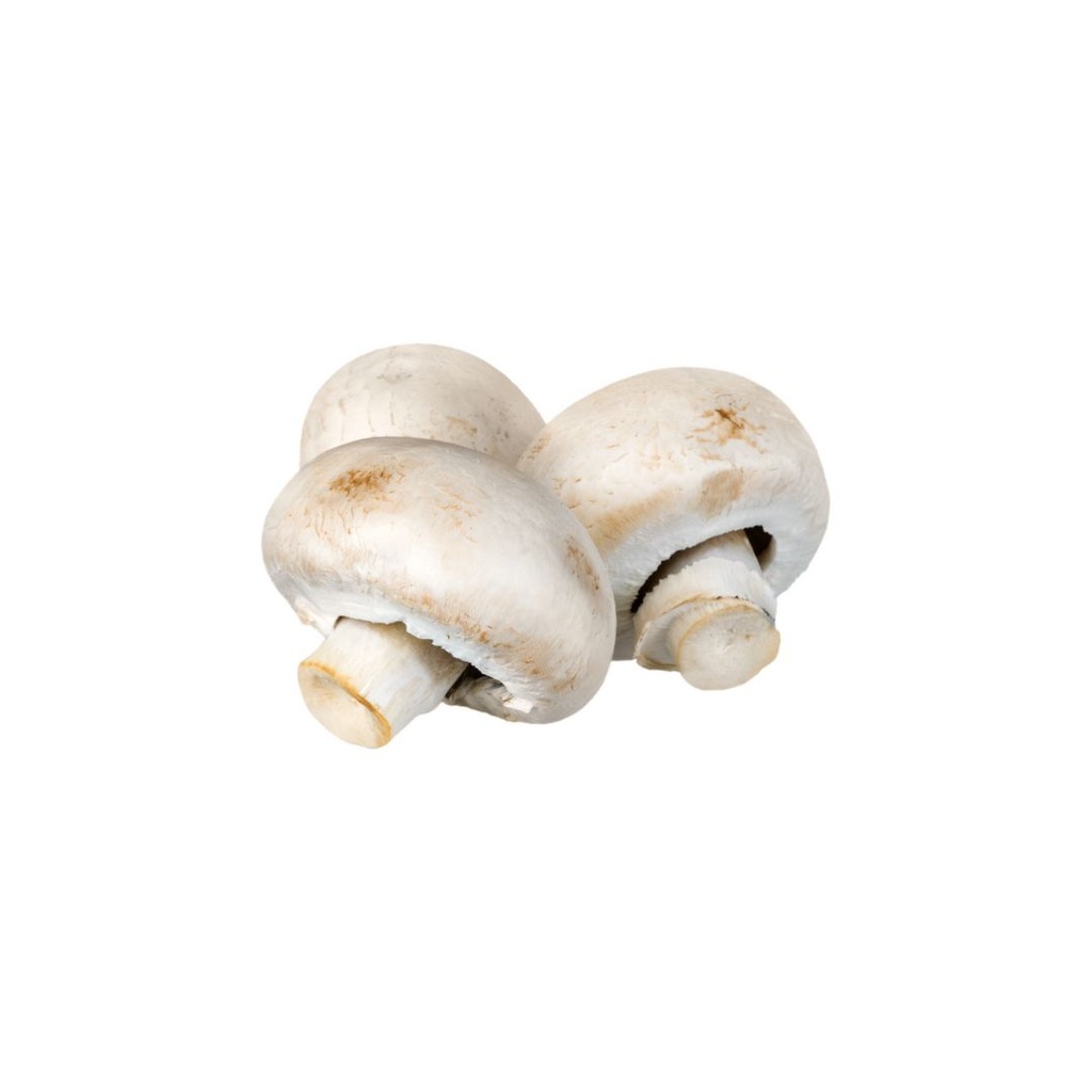 Champignon Blanc NL KG