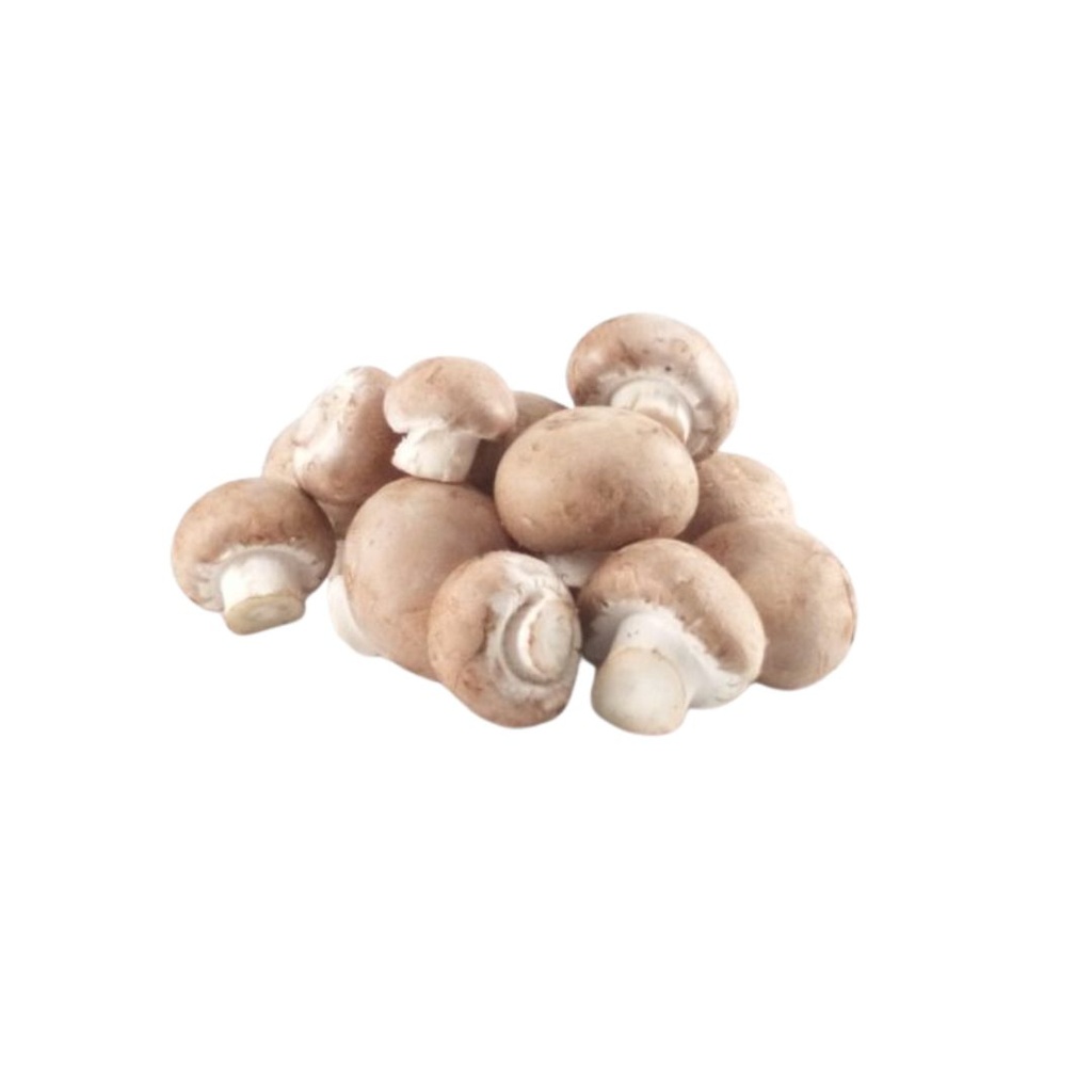 Champignon Châtaigne NL KG