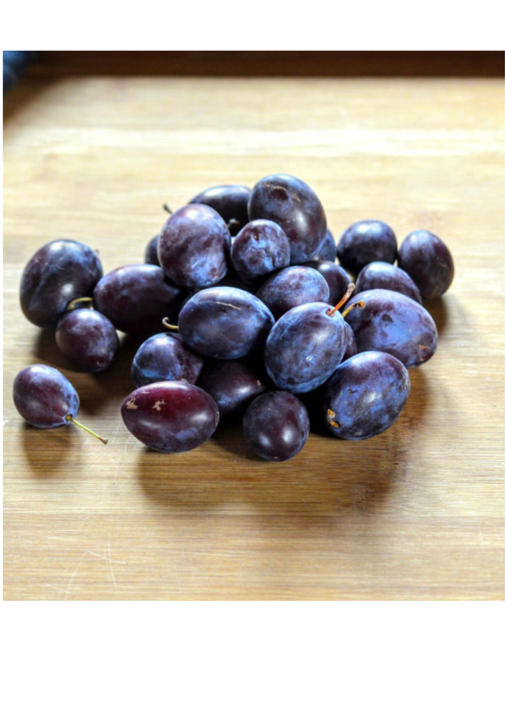 Prune Datil KG FR