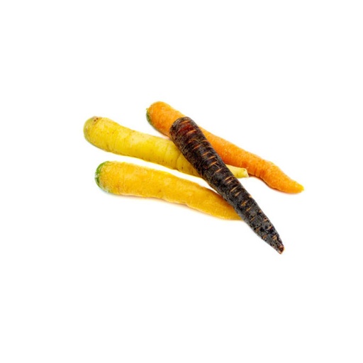 Carotte Colore BE KG