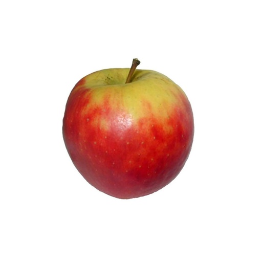 Pomme Flamboyantes Liège KG